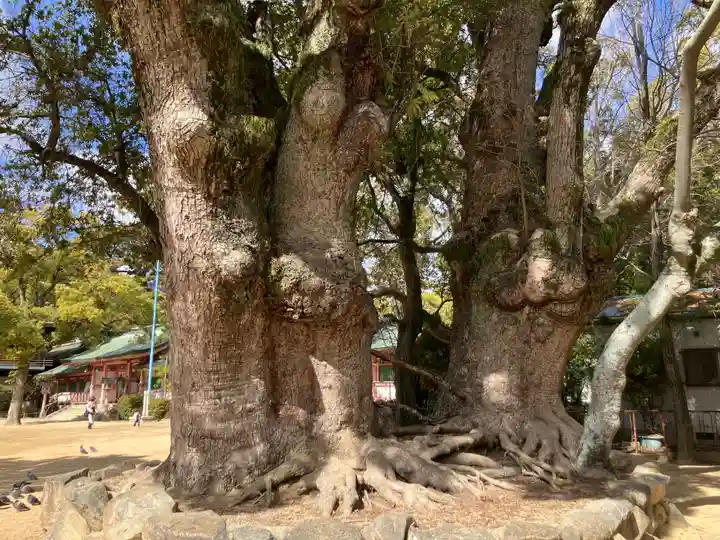 長田神社(兵庫県)