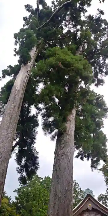 小椋神社(滋賀県)