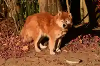 伽耶院(兵庫県)