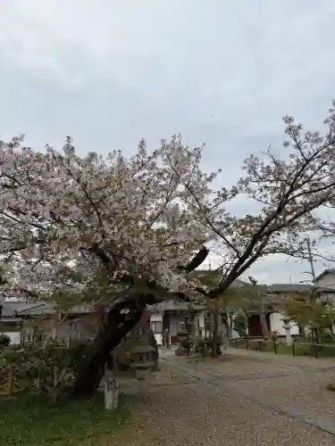 橋寺 放生院の{uncategorized: "未分類", other: "その他", undefined: "問題あり", building: "その他建物", grave: "お墓", sacred_gate: "鳥居", guardian: "狛犬", statue: "像", buddha: "仏像", history: "歴史", nature: "自然", garden: "庭園", animal: "動物", pagoda: "塔", temizu: "手水舎", mountain_gate: "山門・神門", sanctuary: "本殿・本堂", subordinate: "末社・摂社", art: "芸術", scenery: "景色", jizo: "地蔵", ema: "絵馬", goshuin: "御朱印", omikuji: "おみくじ", items: "授与品その他", amulet: "お守り", goshuincho: "御朱印帳", eats: "食事", festival: "お祭り", votive_dance: "神楽", shichigosan: "七五三参", wedding: "結婚式", experience: "体験その他", initially: "初詣", around: "周辺", anti_infection: "感染症対策"}