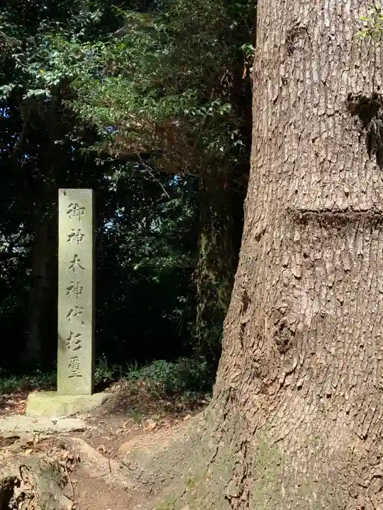 大國玉神社(茨城県)