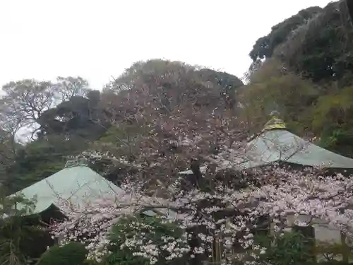 長勝寺の景色