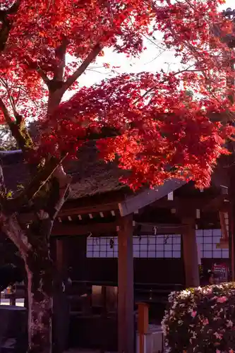 賀茂別雷神社（上賀茂神社）(京都府)