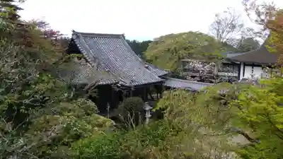 竹林院の本殿・本堂
