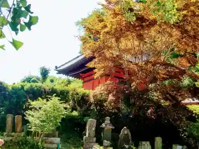 如意輪寺(市原観音)のその他建物