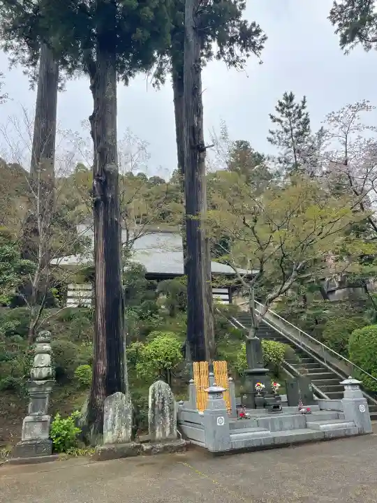 最福寺の{uncategorized: "未分類", other: "その他", undefined: "問題あり", building: "その他建物", grave: "お墓", sacred_gate: "鳥居", guardian: "狛犬", statue: "像", buddha: "仏像", history: "歴史", nature: "自然", garden: "庭園", animal: "動物", pagoda: "塔", temizu: "手水舎", mountain_gate: "山門・神門", sanctuary: "本殿・本堂", subordinate: "末社・摂社", art: "芸術", scenery: "景色", jizo: "地蔵", ema: "絵馬", goshuin: "御朱印", omikuji: "おみくじ", items: "授与品その他", amulet: "お守り", goshuincho: "御朱印帳", eats: "食事", festival: "お祭り", votive_dance: "神楽", shichigosan: "七五三参", wedding: "結婚式", experience: "体験その他", initially: "初詣", around: "周辺", anti_infection: "感染症対策"}