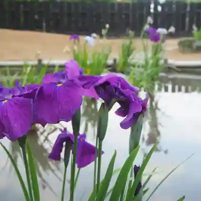 大安禅寺(福井県)