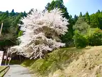 仏隆寺(奈良県)