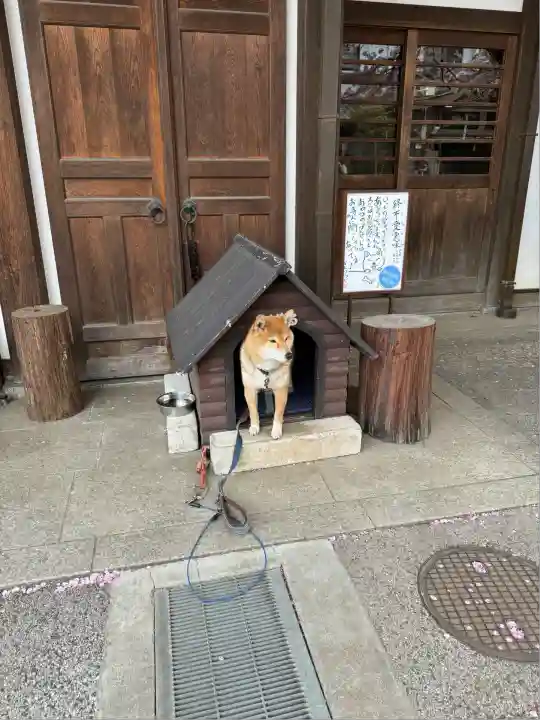 感通寺(東京都)