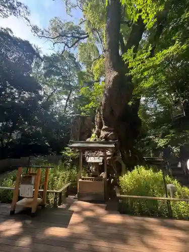 來宮神社(静岡県)