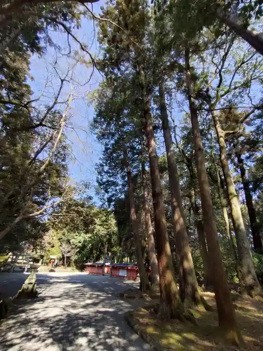 宇佐神宮(大分県)