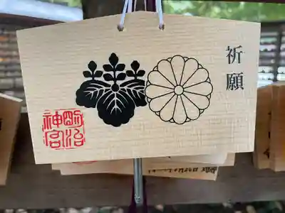 明治神宮(東京都)