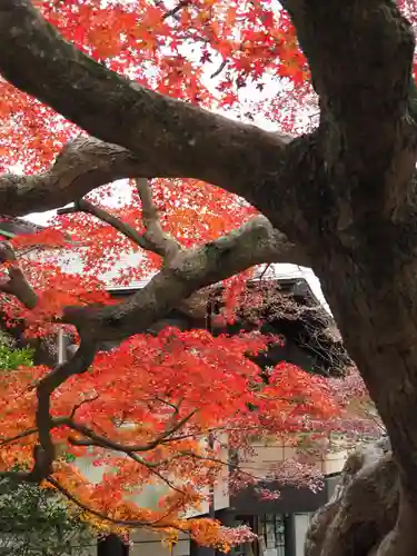 鎌倉宮(神奈川県)
