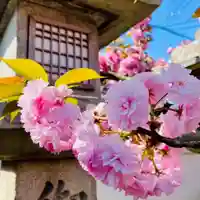 御霊神社の自然