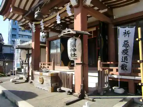 白鬚神社の本殿・本堂