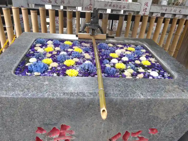 高円寺氷川神社(東京都)
