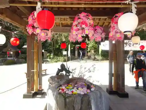 出雲大社相模分祠の手水舎