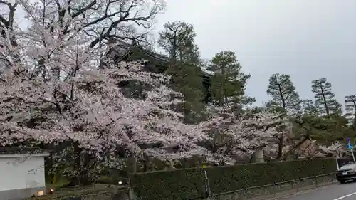 知恩院(京都府)