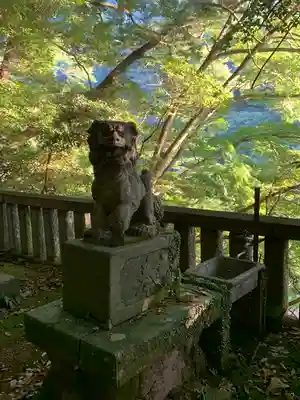 熊野神社の狛犬