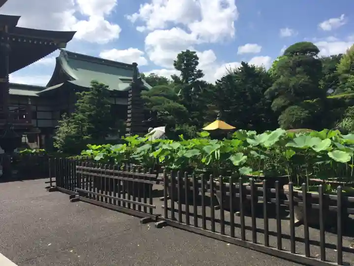 乗蓮寺のその他建物