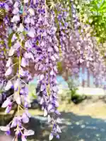 石村八幡宮の{uncategorized: "未分類", other: "その他", undefined: "問題あり", building: "その他建物", grave: "お墓", sacred_gate: "鳥居", guardian: "狛犬", statue: "像", buddha: "仏像", history: "歴史", nature: "自然", garden: "庭園", animal: "動物", pagoda: "塔", temizu: "手水舎", mountain_gate: "山門・神門", sanctuary: "本殿・本堂", subordinate: "末社・摂社", art: "芸術", scenery: "景色", jizo: "地蔵", ema: "絵馬", goshuin: "御朱印", omikuji: "おみくじ", items: "授与品その他", amulet: "お守り", goshuincho: "御朱印帳", eats: "食事", festival: "お祭り", votive_dance: "神楽", shichigosan: "七五三参", wedding: "結婚式", experience: "体験その他", initially: "初詣", around: "周辺", anti_infection: "感染症対策"}