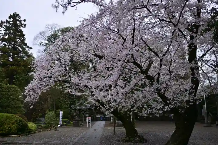 岩槻久伊豆神社(埼玉県)