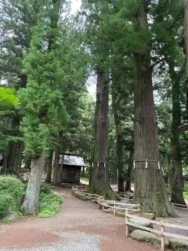 河口浅間神社(山梨県)