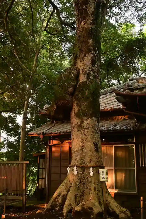 氷川女體神社(埼玉県)