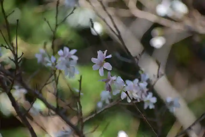葛原岡神社(神奈川県)