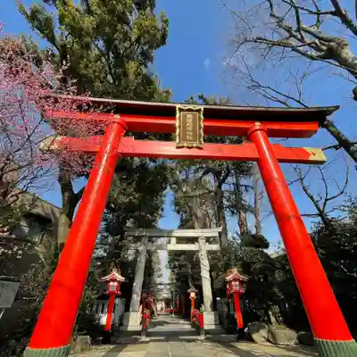 馬橋稲荷神社の鳥居