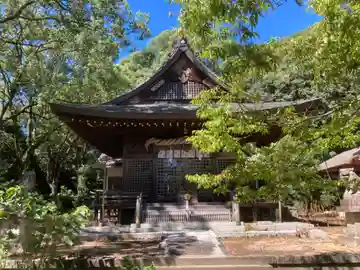 南豫護国神社の本殿・本堂