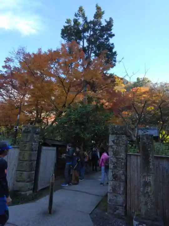 明月院(神奈川県)