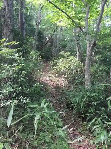大山祇神社の周辺