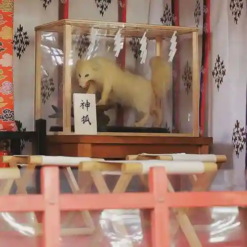 開運招福 飯玉神社の狛犬