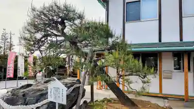武蔵國八海山神社(埼玉県)