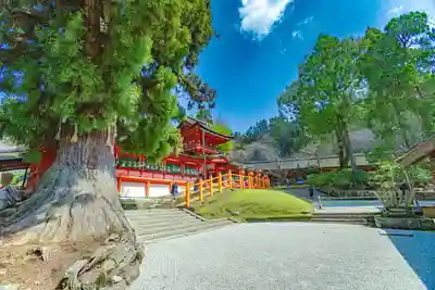 春日大社(奈良県)