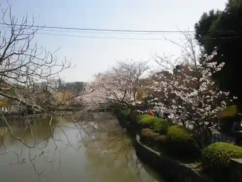 鶴岡八幡宮の庭園