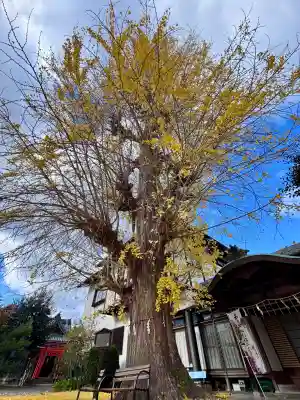 和田神社(滋賀県)