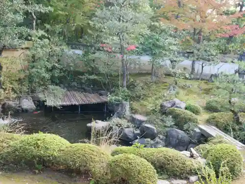 大雄院の庭園