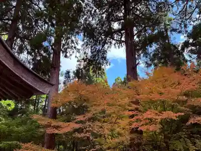 明通寺(福井県)