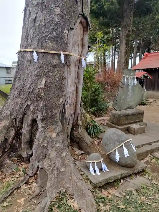 大井氷川神社(埼玉県)