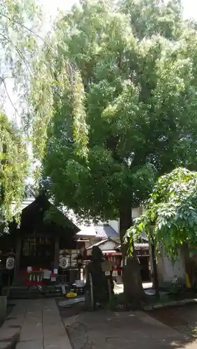 三島神社の自然
