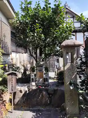 地蔵院（椿寺）(京都府)