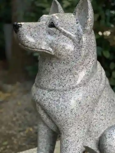 座間神社の狛犬