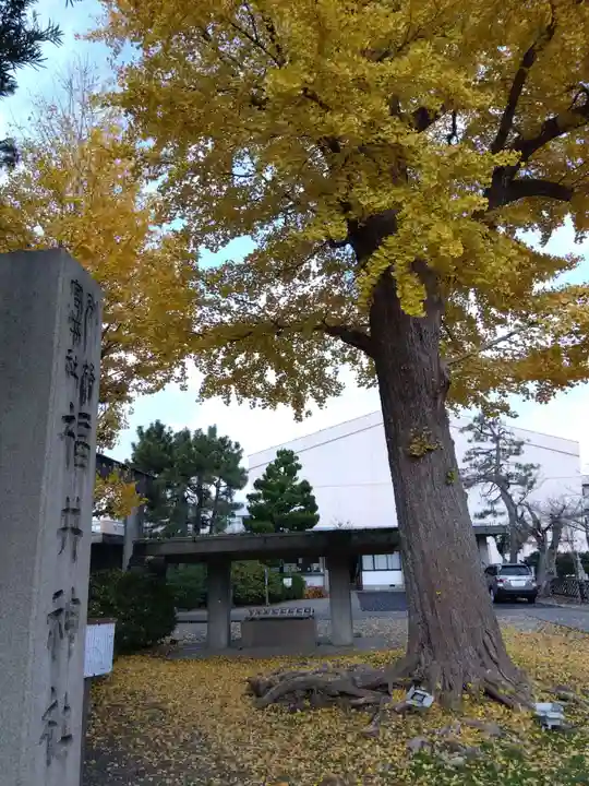 福井神社(福井県)