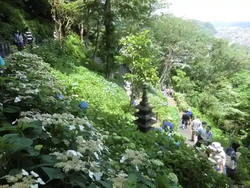 長谷寺(神奈川県)