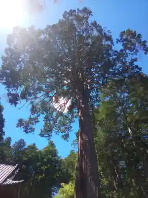 北口本宮冨士浅間神社(山梨県)