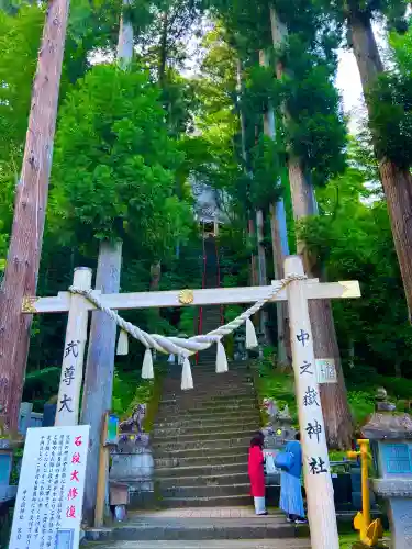 中之嶽神社(群馬県)