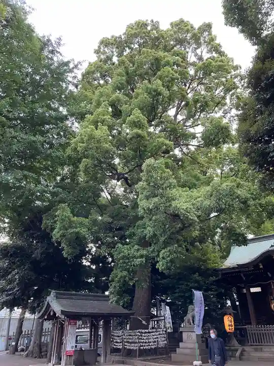 中目黒八幡神社のその他建物