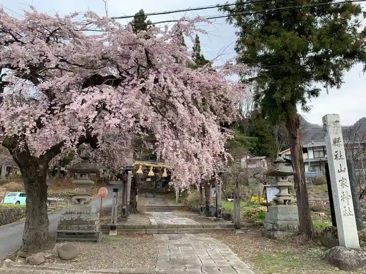 山家神社の自然